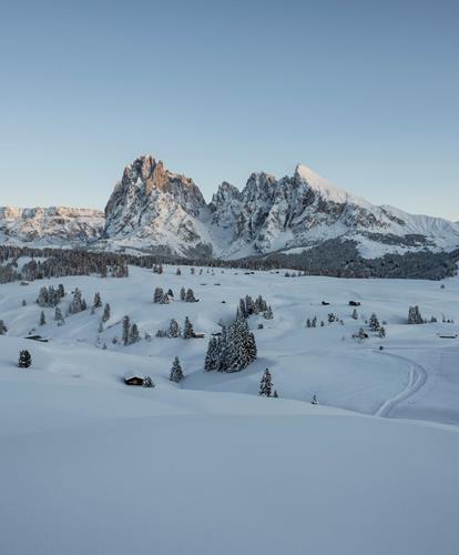 Your dream holiday in South Tyrol.